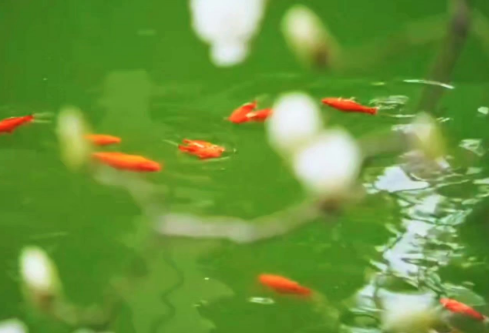 1761185035560596.png image.png