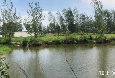 ​2025情人节经典表白语录