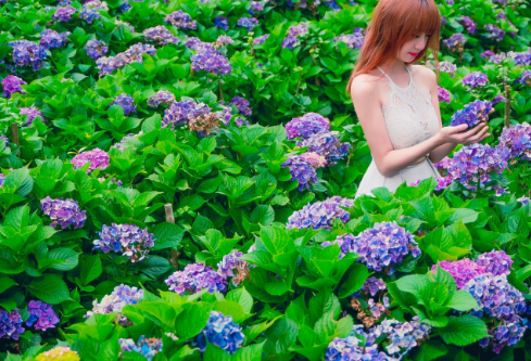 1761913266580445.png image.png