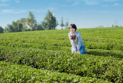 ​老师教师节快乐简短短句(祝老师教师节快乐的句子)