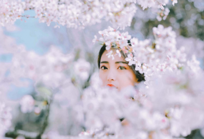 ​描写菊花的优美句子参考